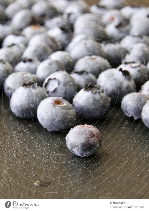 blueberry vinegar Food Fruit Organic produce Fresh Healthy Eroticism Blue Black Blueberry Berries Paving tiles Drops of water Harvest Colour photo Interior shot