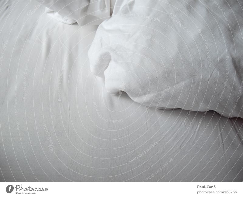 pillow talk Colour photo Interior shot Detail Deserted Copy Space left Copy Space bottom Neutral Background Dawn Happy Harmonious Well-being Contentment Senses