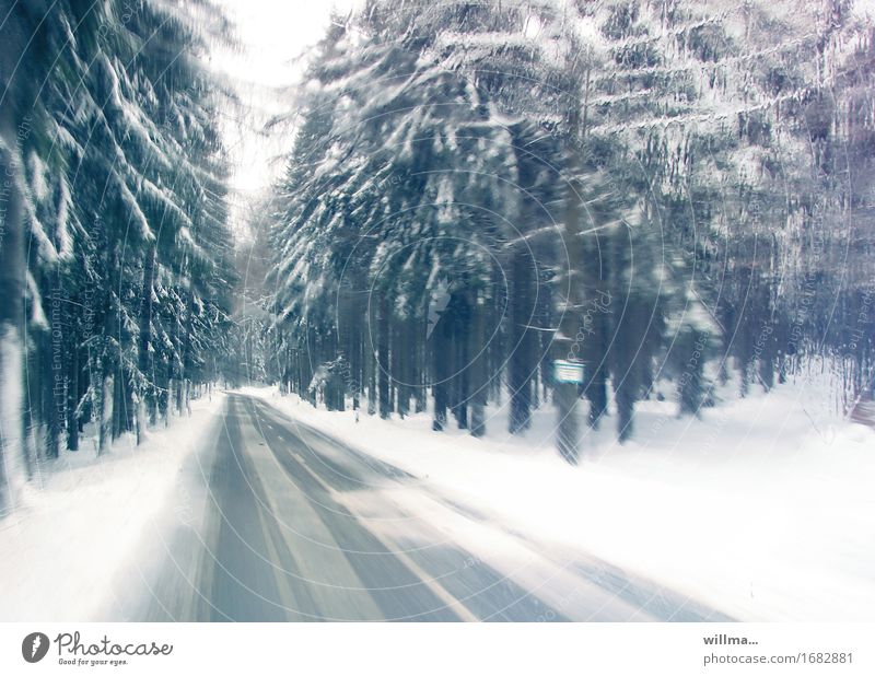 Empty road with danger of black ice, through the snowy forest Winter Ice Frost Snow Coniferous trees Coniferous forest Forest Traffic infrastructure Motoring