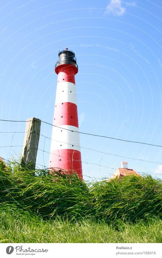 Westerhever Lighthouse Colour photo Exterior shot Day Worm's-eye view Vacation & Travel Tourism Trip Sightseeing Nature Landscape Sky Cloudless sky Summer