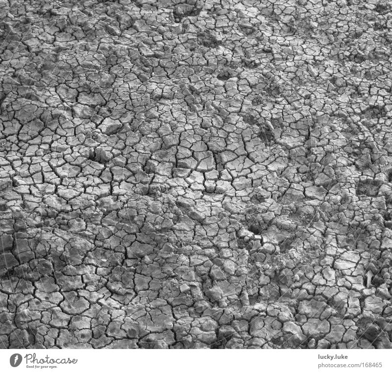 Dried-up lake bottom Black & white photo Exterior shot Close-up Structures and shapes Deserted Neutral Background Day Shadow Contrast Bird's-eye view Nature