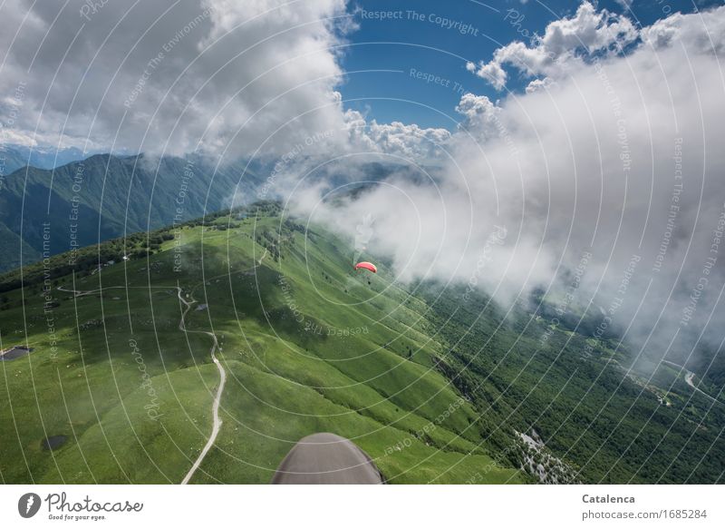 Up high, aerial view while paragliding Leisure and hobbies paragilds Vacation & Travel Summer Mountain paraglide parachute Landscape Plant Clouds Horizon
