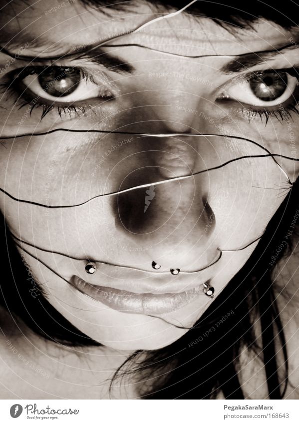 captive Subdued colour Looking into the camera Feminine Woman Adults Life Head Face Eyes Nose Mouth 1 Human being Piercing Black-haired Wire Dark Strong