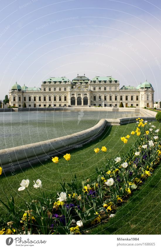 Vienna, only Vienna Colour photo Exterior shot Deserted Day Panorama (View) Capital city Castle Tourist Attraction Art Belvedere Building Sightseeing Tulip