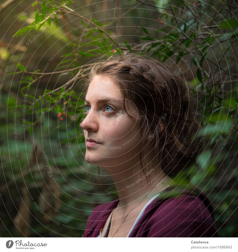 View through, portrait of young woman in dense vegetation Trip Far-off places Summer Hiking Feminine Young woman Youth (Young adults) 1 Human being