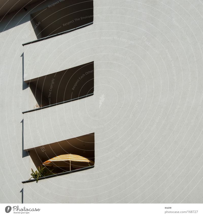 parasol Design Flat (apartment) SME Plant House (Residential Structure) Building Architecture Wall (barrier) Wall (building) Facade Balcony Stone Concrete