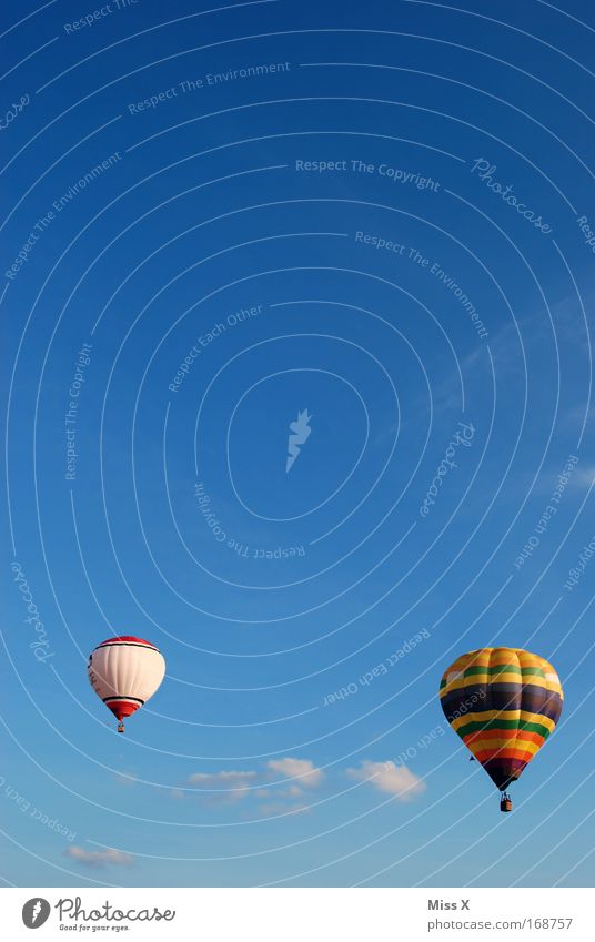 A beautiful day Colour photo Exterior shot Leisure and hobbies Trip Adventure Summer Beautiful weather Aviation Hot Air Balloon Driving Flying Freedom Blue sky