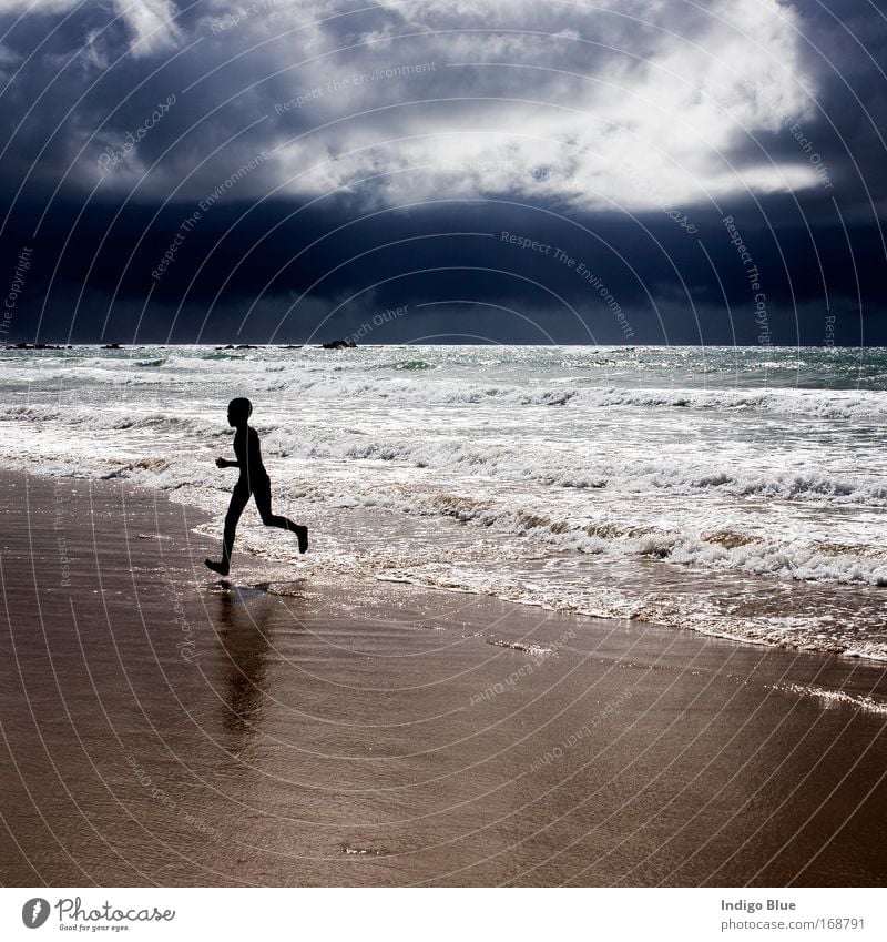 Running from the Storm Colour photo Exterior shot Day Light Contrast Silhouette Reflection Low-key Vacation & Travel Summer Summer vacation Beach Ocean Waves