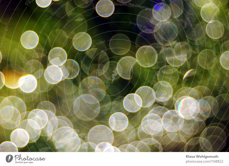 The morning dew on a dill plant glistens and sparkles in the backlight and creates a pretty bokeh Colour photo Multicoloured Morning Reflection Sunbeam