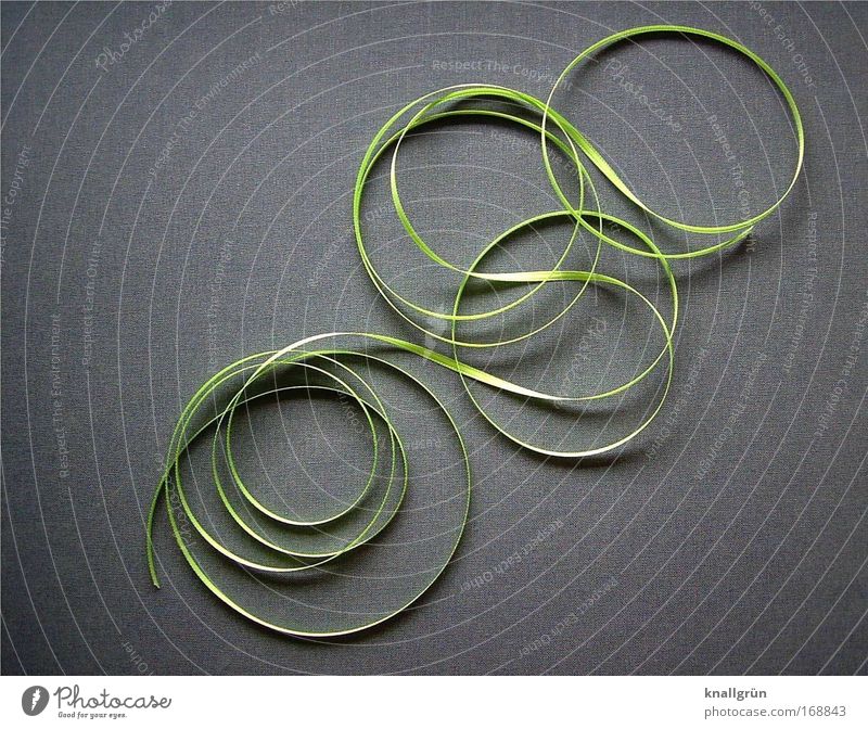 rogue Colour photo Subdued colour Studio shot Close-up Deserted Copy Space left Copy Space right Neutral Background Gift wrapping silk ribbon Round Gray Green
