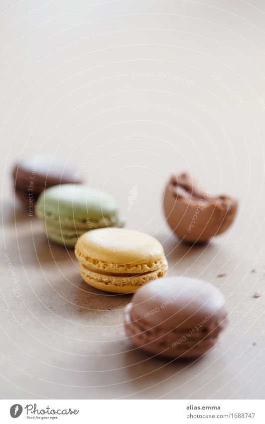 macarons Macaron French Cookie Baked goods Sweet Dessert Crisp Round To enjoy Dish Eating Food photograph Natural Candy Hip & trendy ganache Filling Neutral