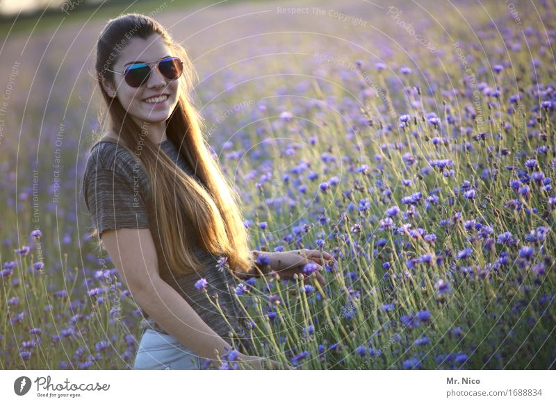 sunny side of life Feminine Environment Nature Landscape Summer Grass Wild plant Field Sunglasses Brunette Long-haired Beautiful Warmth Beautiful weather