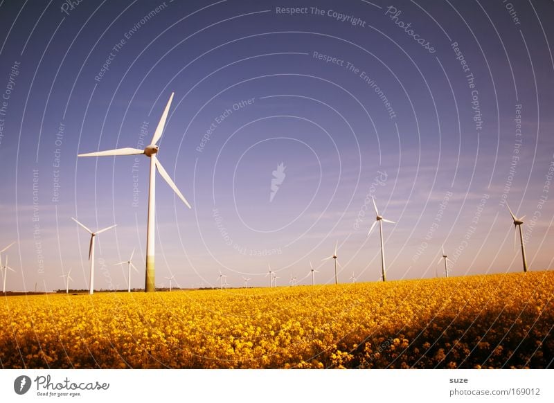 summer wind Colour photo Multicoloured Exterior shot Deserted Day Economy Industry Energy industry SME Renewable energy Wind energy plant Energy crisis