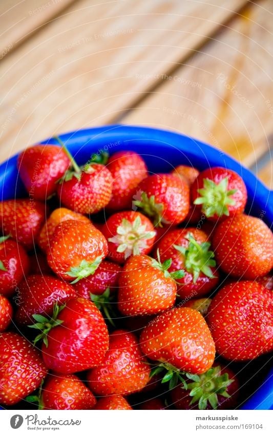 freshly picked strawberries Colour photo Exterior shot Copy Space top Day Deep depth of field Bird's-eye view Food Fruit Strawberry Harvest Pick salubriously