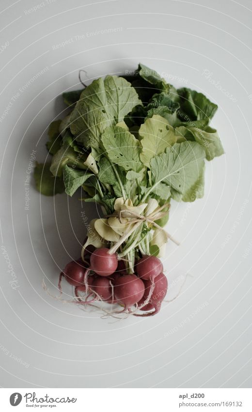 Viewing radishes from above Colour photo Interior shot Copy Space top Copy Space bottom Day Food Vegetable Radish Nutrition Lunch Dinner Organic produce
