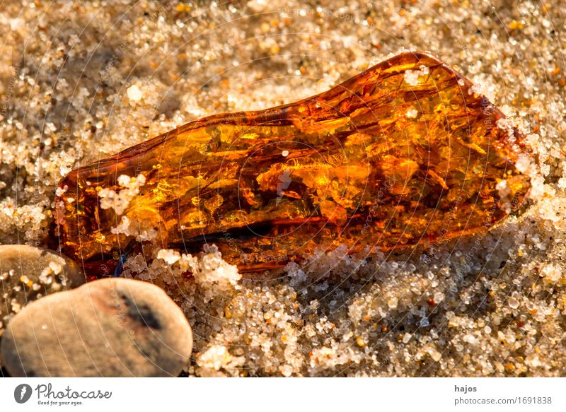 Amber at the Baltic Sea beach Alternative medicine Medication Beach Sand Stone Old Illuminate Yellow find Resin Brilliant Precious stone semi-precious stone