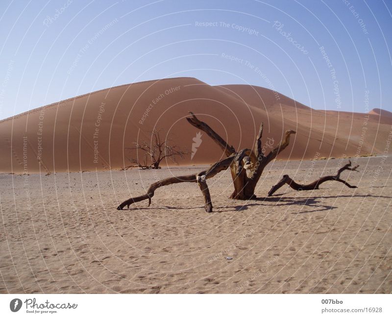 dune Africa Namibia Hot Dry Sand Desert