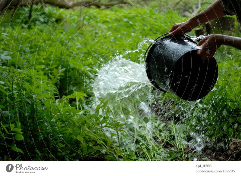 Water march Colour photo Exterior shot Day Shadow Central perspective Human being Masculine Arm Hand 1 Environment Nature Spring Grass Green Black Joy Euphoria