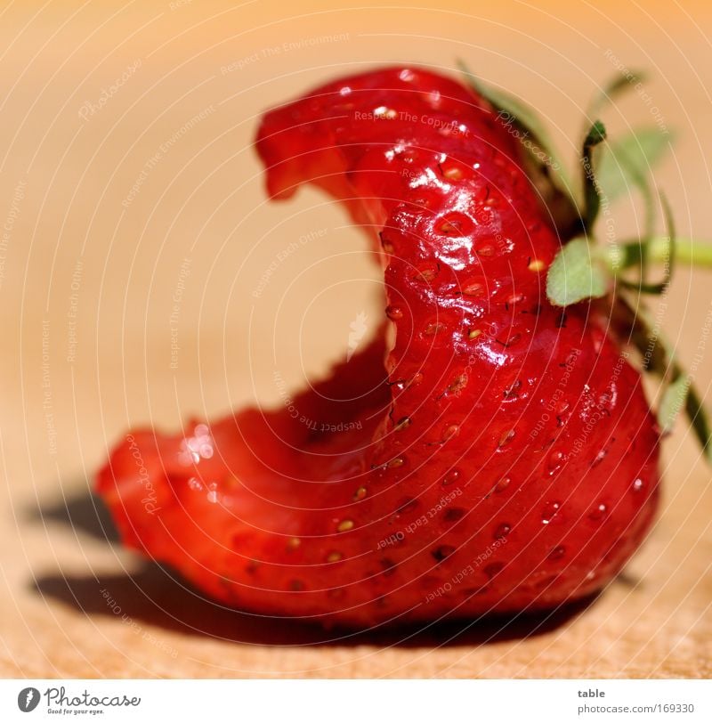 strawberry Colour photo Macro (Extreme close-up) Sunlight Long shot Food Fruit Organic produce Vegetarian diet Healthy Life Well-being Gastronomy Plant