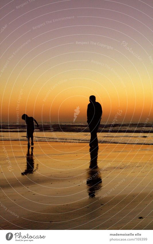 Father & Son Colour photo Exterior shot Copy Space top Copy Space bottom Evening Twilight Light Shadow Silhouette Back-light Happy Vacation & Travel Freedom
