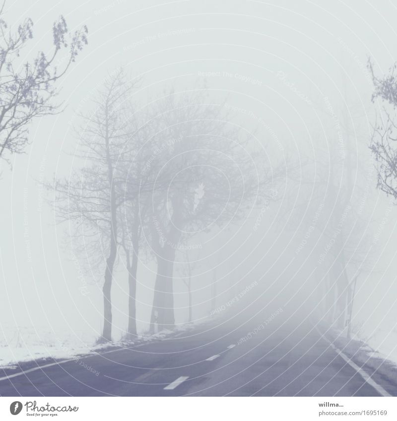 Empty country road in fog, poor visibility and black ice Fog Street Country road Cold Winter Bleak Avenue Snow Black ice Risk of accident Deserted Dreary foggy