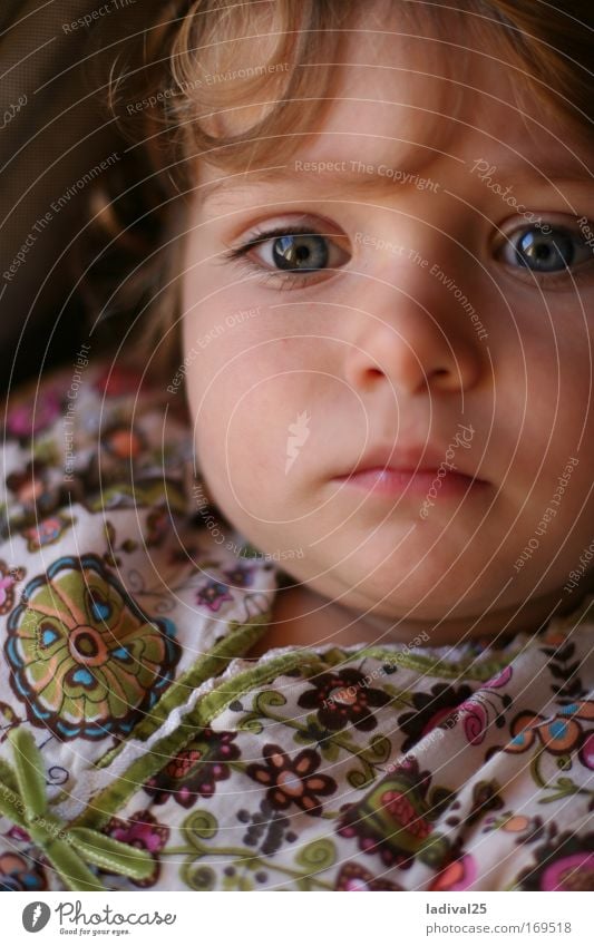 little dreamer Colour photo Exterior shot Day Sunlight Portrait photograph Upper body Front view Looking Forward Human being Child Toddler Girl Infancy Head