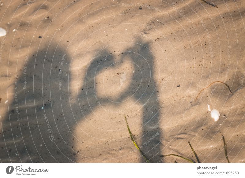 shadow play Nature Earth Sand Beach Sign Heart Brown Relationship Emotions Silhouette Playing Freedom Love Colour photo Exterior shot Experimental Deserted