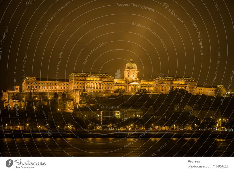 castle palace Old town Manmade structures Architecture Tourist Attraction Landmark Monument Dark Gold Danube Budapest Lighting Night shot Long exposure