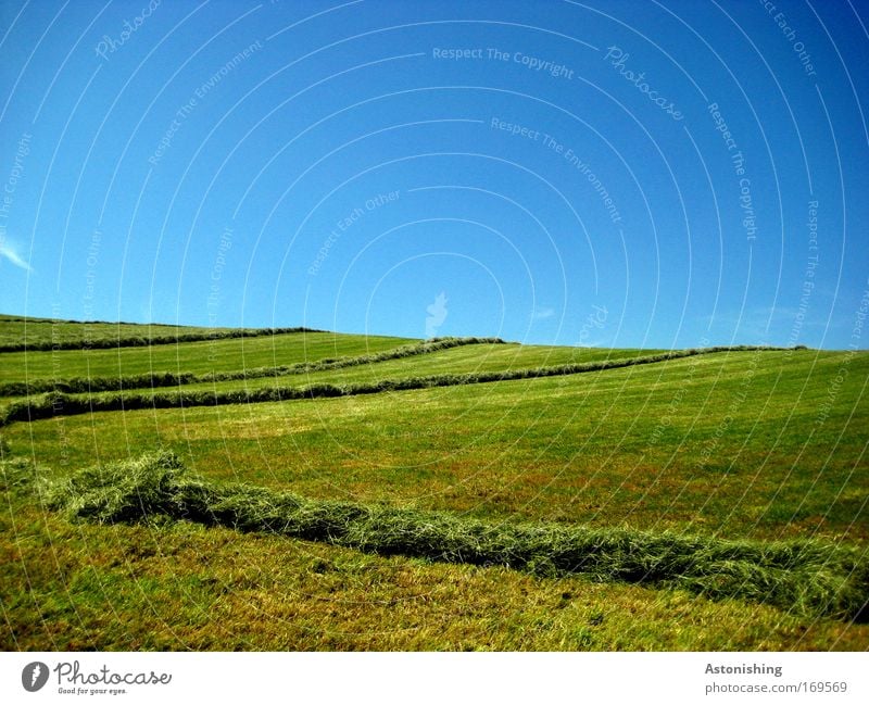 striped bottom Environment Nature Landscape Earth Sky Cloudless sky Summer Weather Beautiful weather Plant Grass Meadow Hill Warmth Blue Green Line Reap Stripe