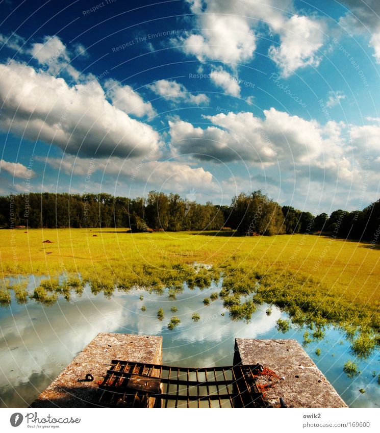 lint filter Environment Nature Landscape Plant Elements Earth Air Water Sky Clouds Horizon Spring Climate Beautiful weather Tree Grass Lakeside Blue