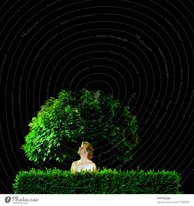 TREE CROWN Human being Man Naked Park Garden Hedge Bushes Tree Night Hiding place Green Black Looking Shows Observe Leaf Ecological Organic produce