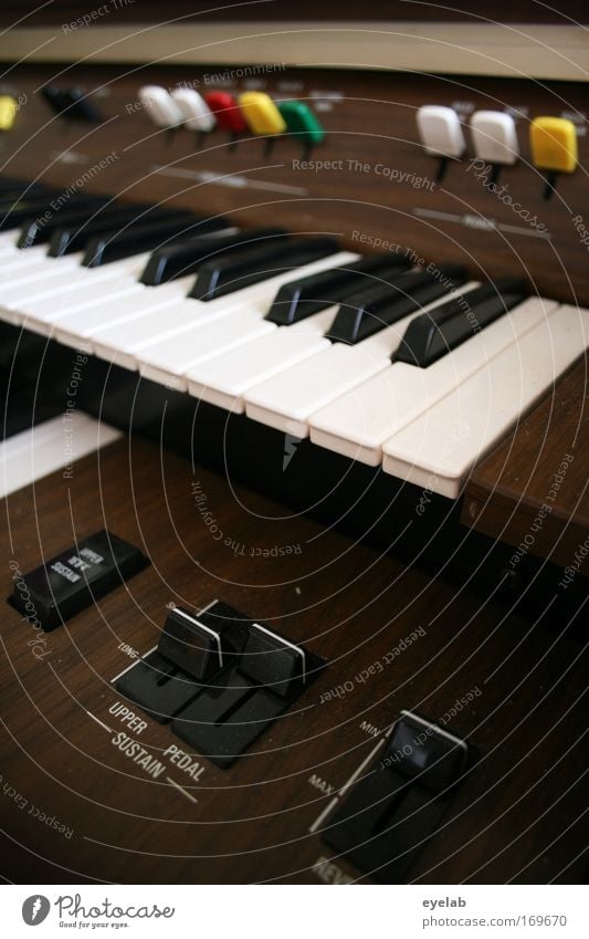 Looking at the organist's keys Colour photo Interior shot Close-up Detail Deserted Shadow Shallow depth of field Long shot Leisure and hobbies Playing