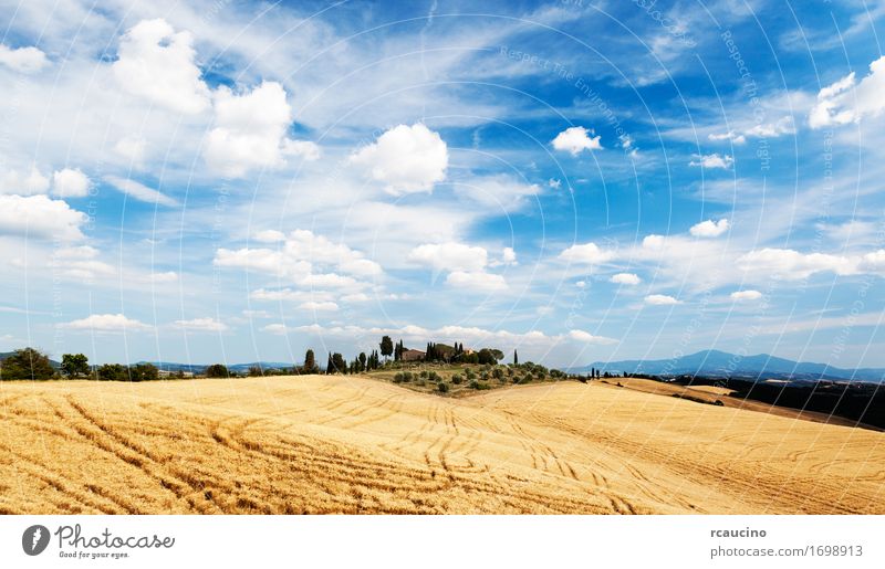 Tuscan countryside in a summer sunny day Relaxation Vacation & Travel Tourism Summer House (Residential Structure) Nature Landscape Sky Clouds Tree Hill Village
