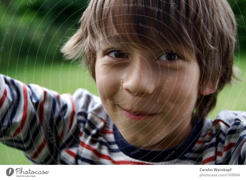 Innocent. Colour photo Exterior shot Day Shadow Contrast Shallow depth of field Looking into the camera Human being Masculine Child Boy (child)