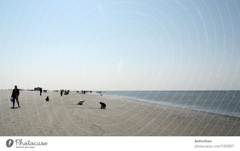 teetotalers Colour photo Exterior shot Copy Space top Sunlight Trip Freedom Beach Ocean Human being Cloudless sky Horizon Waves Coast North Sea Together