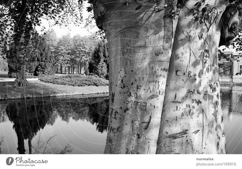 forever and ever Black & white photo Exterior shot Day To go for a walk Vacation & Travel Tourism Garden Jogging Sculpture Culture Nature Park Potsdam Deserted