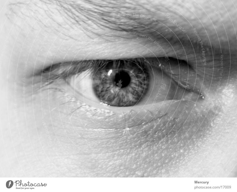 Mirror of the soul Man Eyes Black & white photo Macro (Extreme close-up) Iris Soul