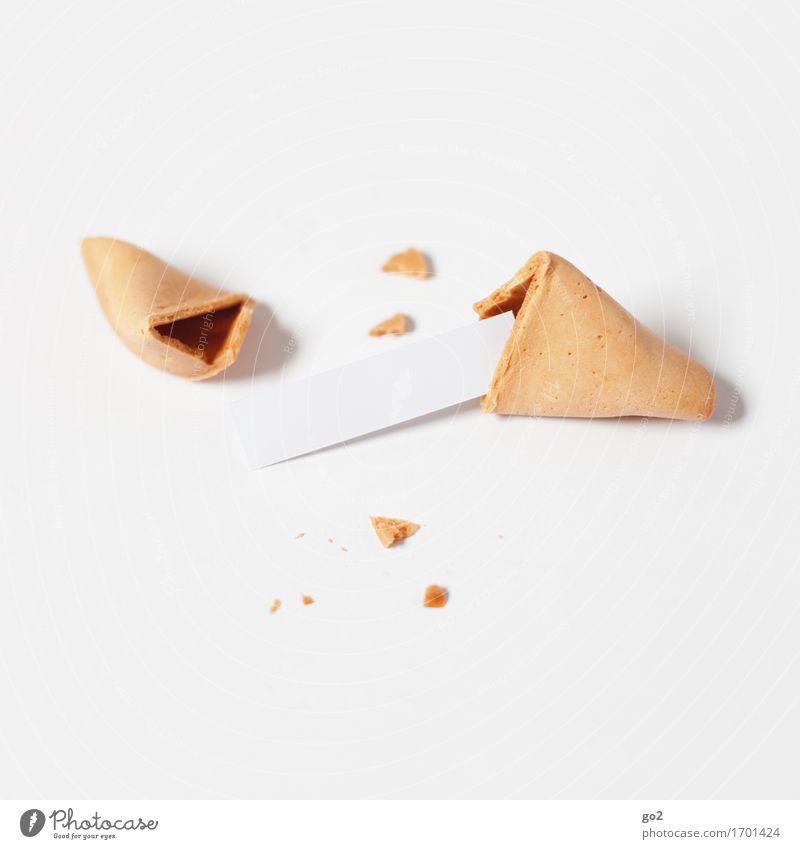 1 wish free Dessert Candy Fortune cookie Nutrition Asian Food Happy Piece of paper Eating Delicious Curiosity Sweet Surprise Beginning Business Success