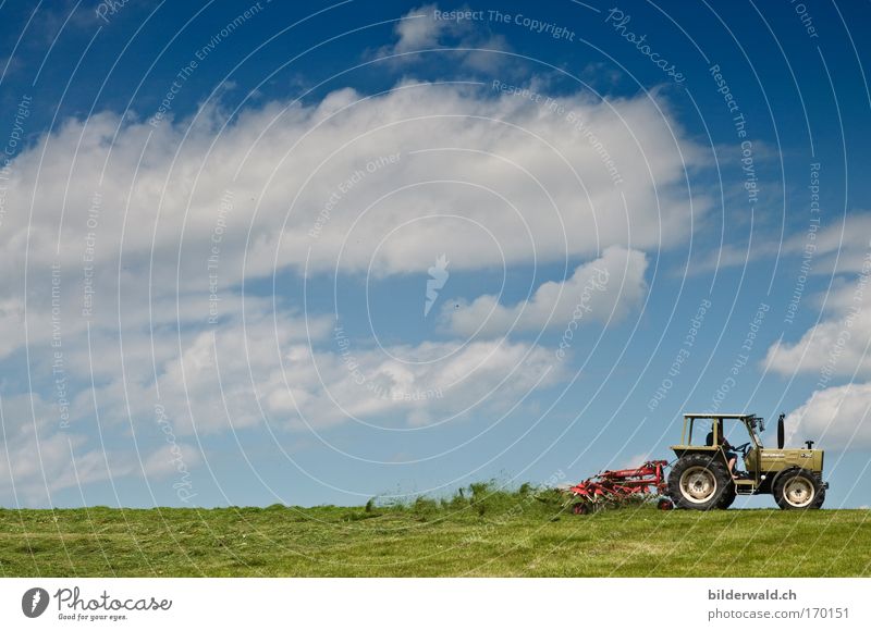 whirlwind Colour photo Exterior shot Copy Space left Copy Space top Day Silhouette Long shot Wide angle Tractor mixing tedder Nature Landscape Plant Earth Sky