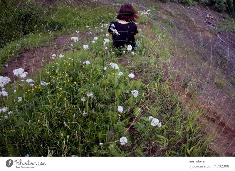 alone summer girl 1 Human being Plant Flower Grass Garden Park Meadow Field Hill Blossoming Loneliness Sadness Sit down Black Dress Back Dramatic Cry Dream