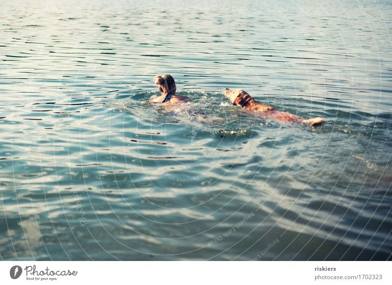 just swim, swim, swim... Human being Feminine Woman Adults Friendship Life 1 30 - 45 years Summer Beautiful weather Lake Animal Pet Dog Swimming & Bathing Free
