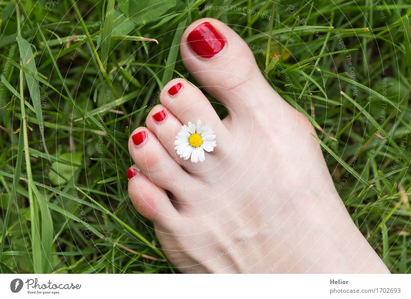 Flower_and_foot-1 Lifestyle Joy Happy Personal hygiene Skin Pedicure Healthy Harmonious Well-being Contentment Relaxation Summer Garden Feminine Young woman