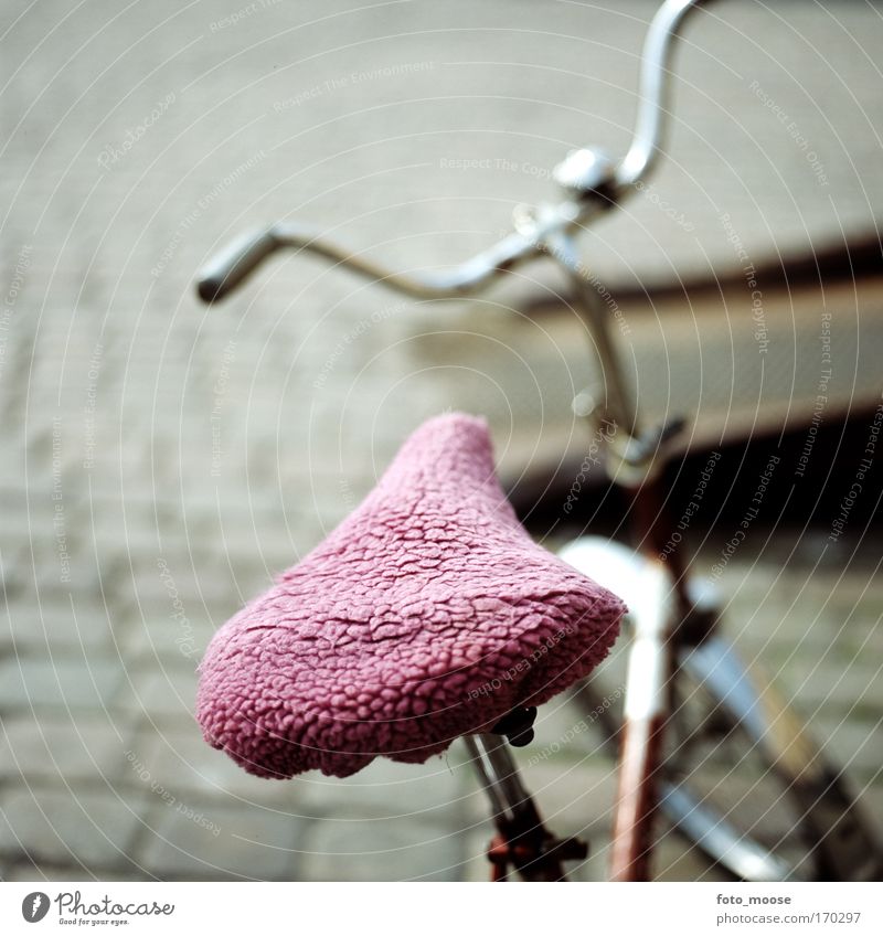 Pink Bike Seat Colour photo Multicoloured Close-up Deserted Copy Space top Contrast Shallow depth of field Joy Leisure and hobbies Vacation & Travel Bicycle