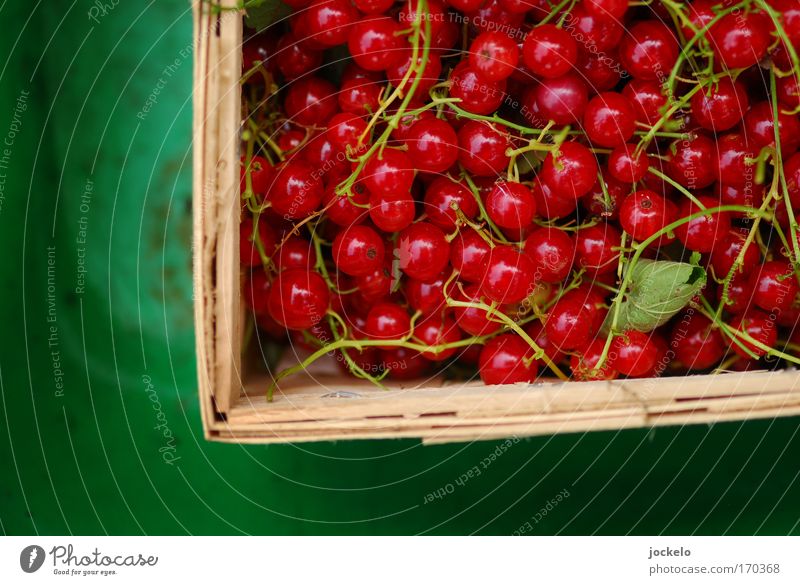 Träuble Food Fruit Organic produce Beautiful Sweet Green Red Bird's-eye view Section of image Partially visible Fruit basket Redcurrant Stalk Colour photo