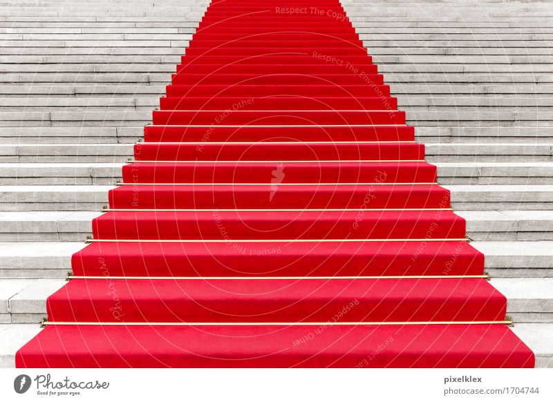 Red carpet II Luxury Elegant Style Carpet Party Event Going out Feasts & Celebrations Culture Shows Concert Opera Opera house Stairs Famousness Success Steps