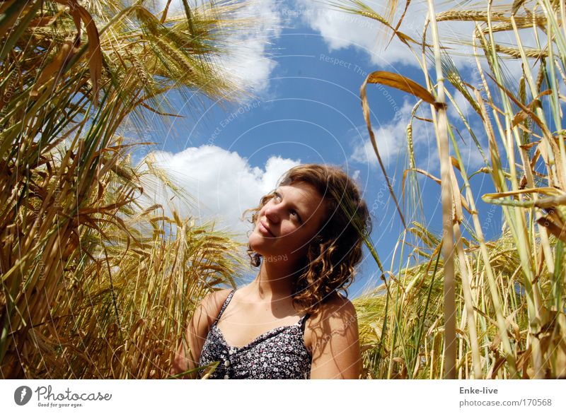 look where the sun shines Exterior shot Day Sunlight Upper body Grain Beautiful Young woman Youth (Young adults) Nature Field Curl Think Relaxation Smiling