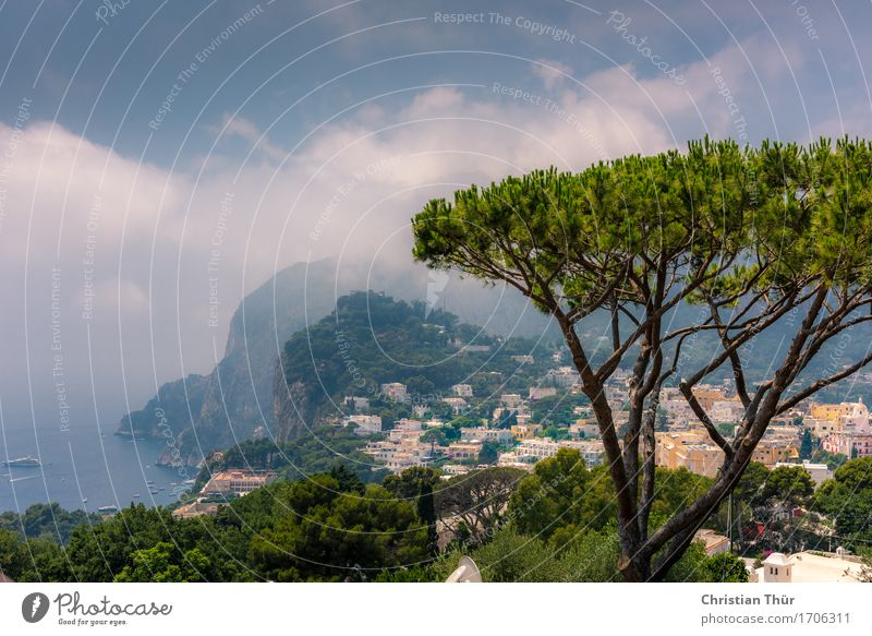 capri Life Harmonious Well-being Contentment Vacation & Travel Tourism Trip Far-off places Sightseeing Cruise Ocean Island Mountain Hiking Environment Nature