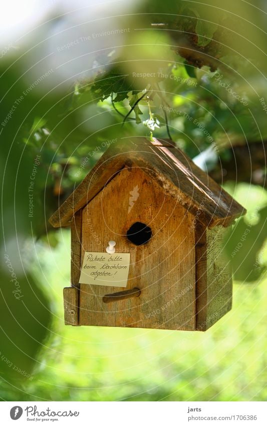 please deliver packages to neighbor II Tree Leaf Forest House (Residential Structure) Hut Hang Living or residing Mail Package Birdhouse Information