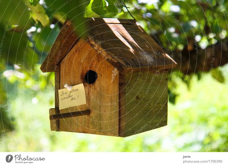 I'll be right back! Beautiful weather Plant Tree Leaf Garden Park Forest House (Residential Structure) Hut Paper Piece of paper Living or residing bird house