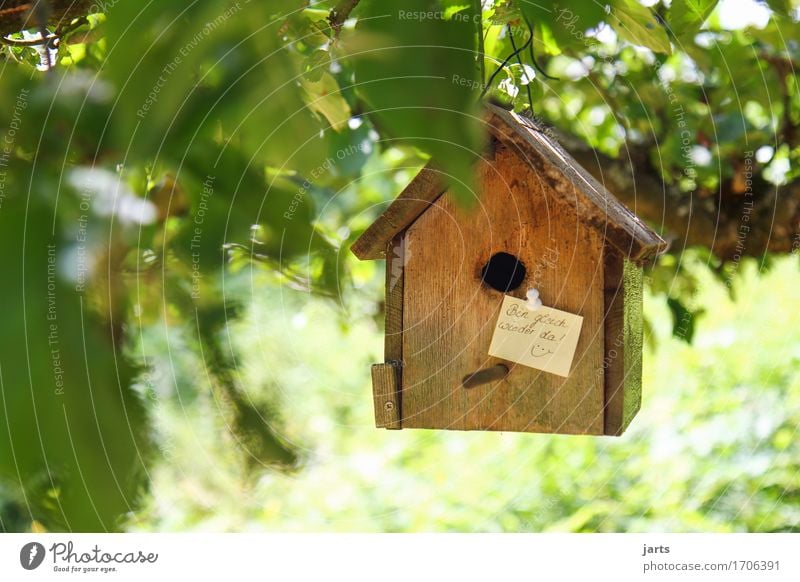 ...immediately... Beautiful weather Tree Leaf Garden House (Residential Structure) Hut Living or residing Piece of paper Information Birdhouse Going